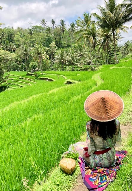 Hermosa vista de los campos verdes en Ubud en Bali.