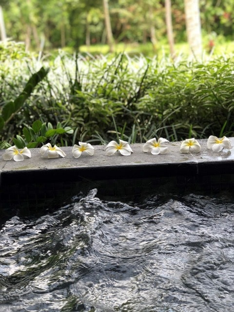 Esto es lo que consigues en Mandapa, un spa del Ritz Carlton. El lugar perfecto para consentirte