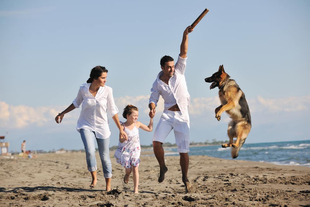 Las mascotas traen inmensos beneficios a la familia.