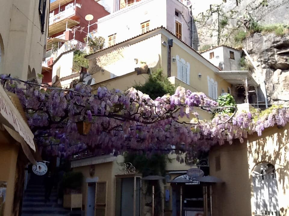 Las flores en Primavera son una de las bellezas de Positano.