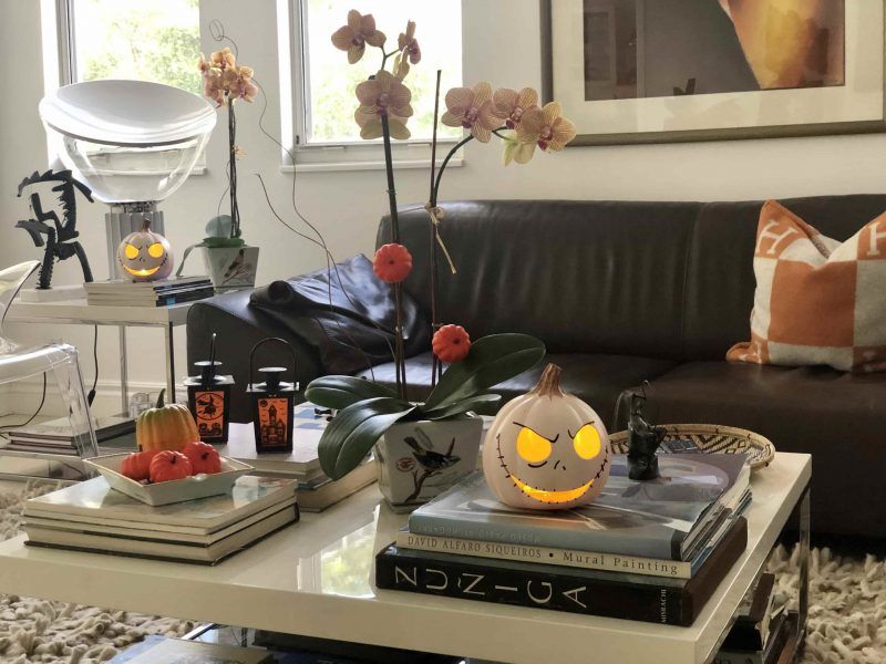 En Halloween decora el salón de tu hogar con calabazas que puedas prender durante la noche, pequeñas calabazas colocadas en las varas de las Phalaenopsis, buhos otros objetos alegóricos a la festividad