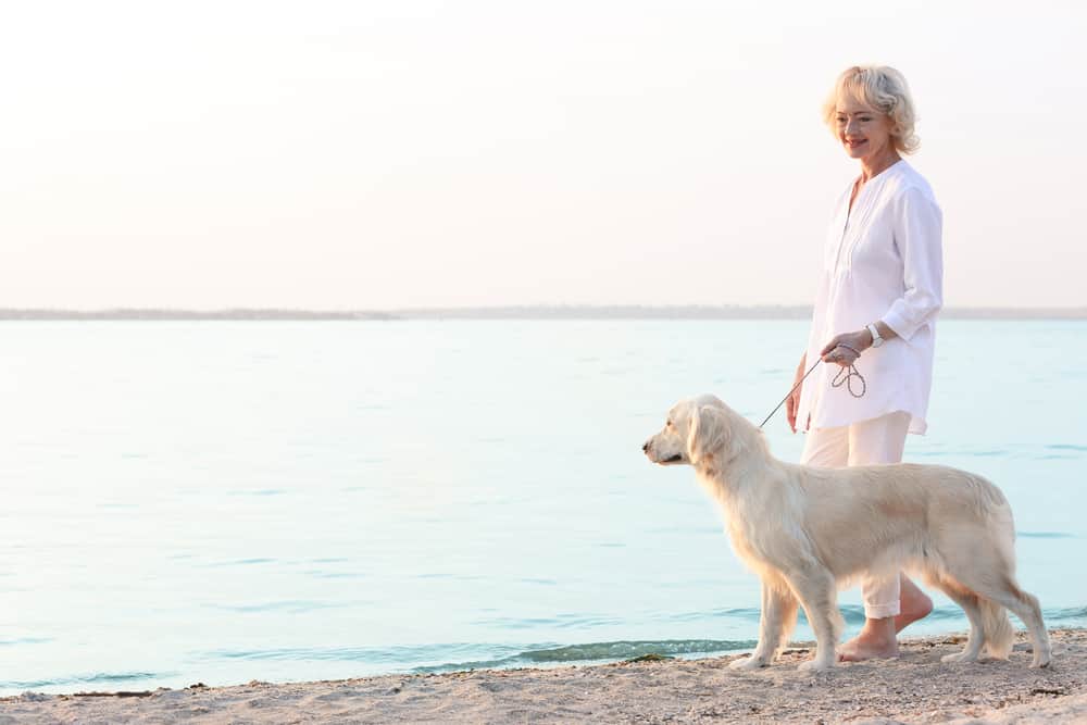 LA MASCOTA ES UNA GRAN COMPAÑÍA Y AYUDA A SUS DUEÑOS A SOCIALIZAR