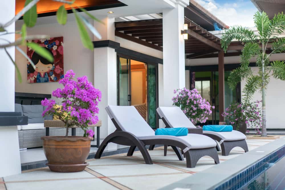 Estas bougainvilleas le aportan un colorido y una frescura especial a la terraza. Introduce la naturaleza en casa.