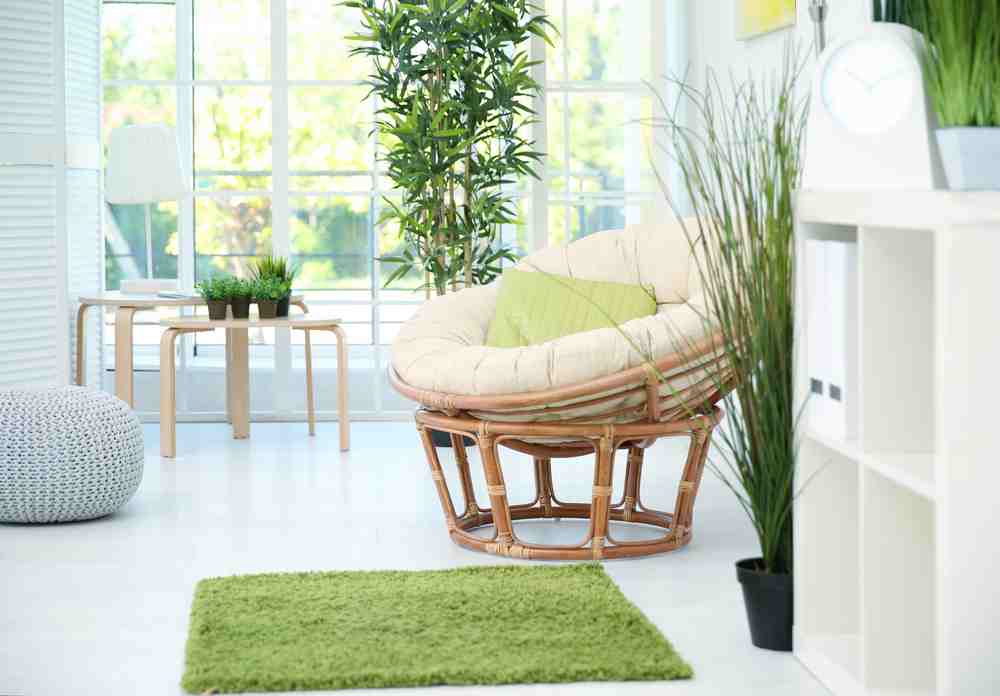 Las plantas son grandes compañeras de la decoración