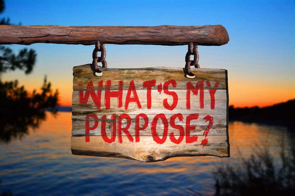 Tener propósitos ayuda a tener una vida más larga y plena!