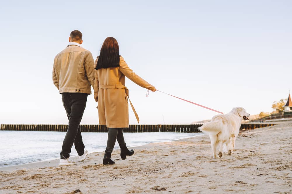 Todos podemos vivir mejor y más tiempo. Eso depende en gran parte de nuestro estilo de vida y de las relaciones que sembremos y cultivemos a lo largo de nuestra existencia.