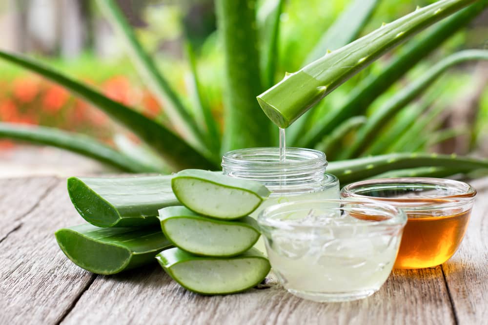 El aloe vera es un remedio natural maravilloso para ayudarte a cerrar los poros abiertos.