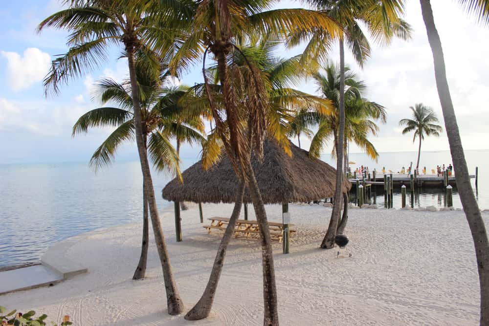 Muchas son las Playas de Estados Unidos en donde puedes pasar unos días alejada del ruido de las grandes ciudades y disfrutando de hermosos amaneceres y puestas del sol.