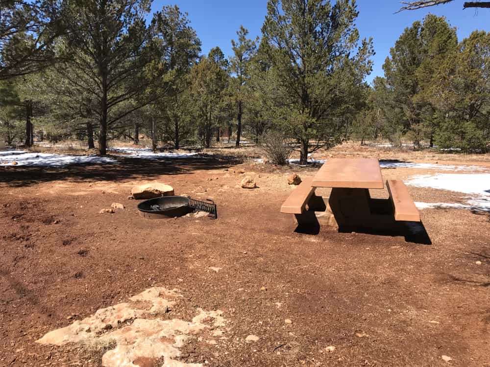 En el Gran Cañon del Colorado hay todas las facilidades que buscas al salir de casa. Hay espacios para comer, con baños y facilidades. Un destino que debes conocer en Arizona 