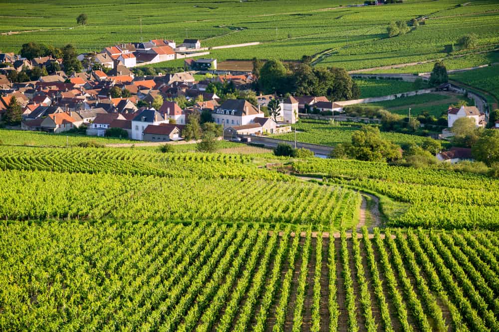 Visitar la región de Borgoña en Francia es sentir un vivo contacto con maravillosos vinos que allí se producen, con una alta gastronomía y con unos paisajes naturales como pocos.