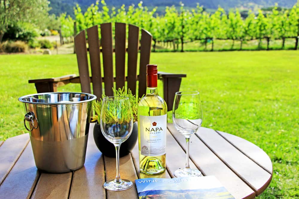 El valle de napa es un destino ideal para los amantes del buen vino y los paisajes naturales.