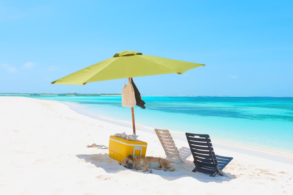 El Archipiélago los Roques es el destino más bello de playas en Venezuela