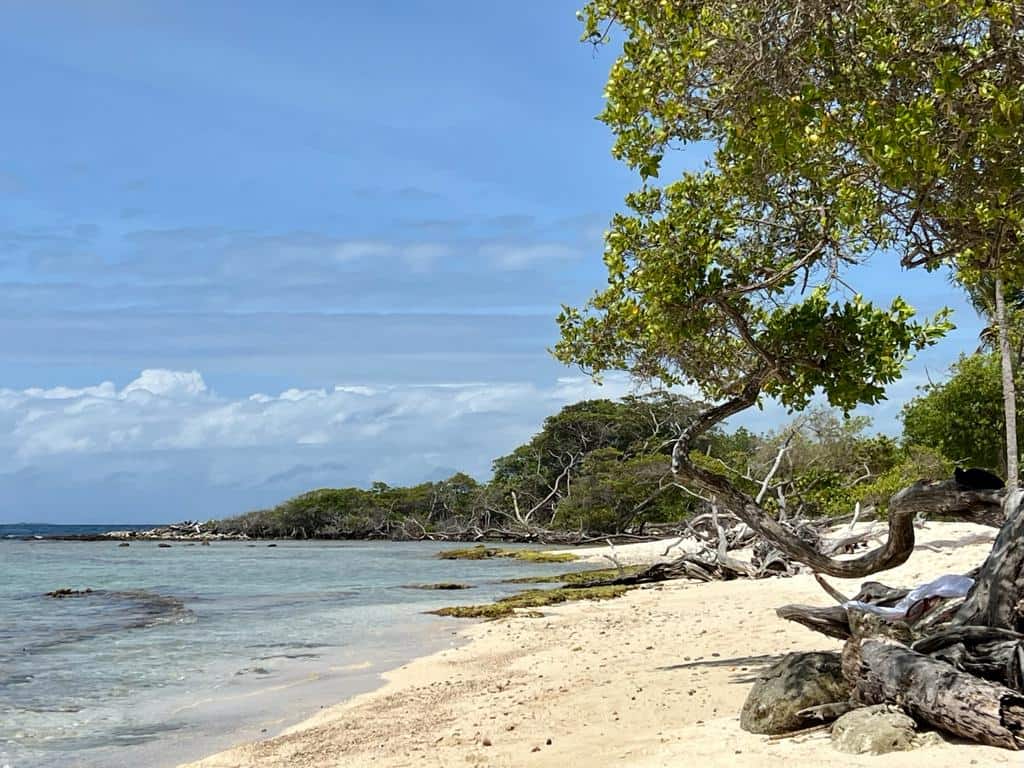 Las playas de Morrocoy son un lugar para descansar e inspirarte.
