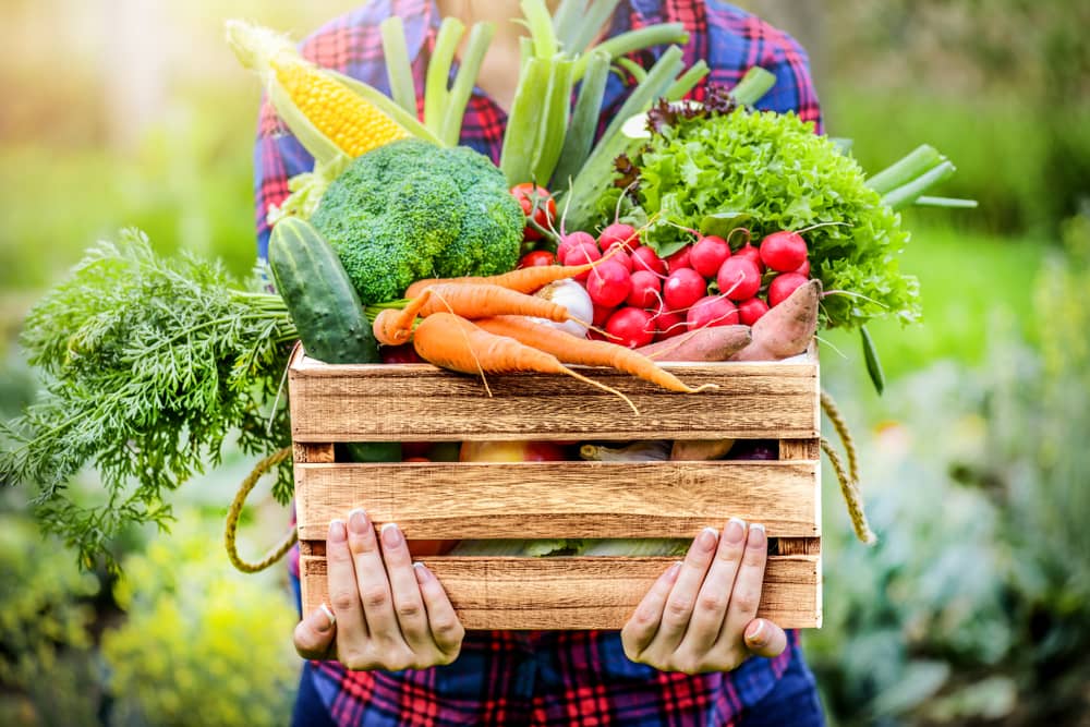 Consumir un tipo de alimentación basada en vegetales y frutas mejora la salud